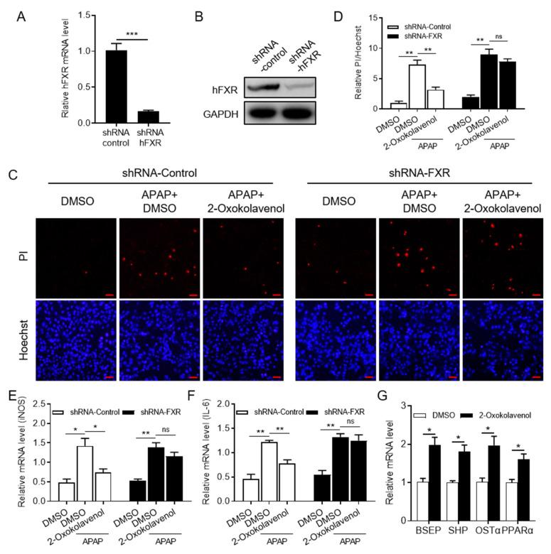 https://cdn.ncbi.nlm.nih.gov/pmc/blobs/99a8/9786051/2c3a5f51f3e5/molecules-27-08968-g004.jpg