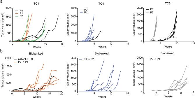 https://cdn.ncbi.nlm.nih.gov/pmc/blobs/99a9/7641131/253d44ad2218/41598_2020_75518_Fig1_HTML.jpg