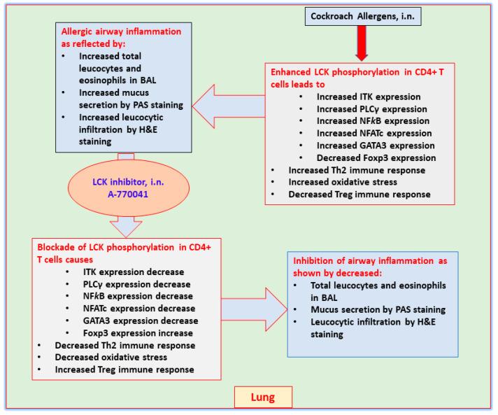 https://cdn.ncbi.nlm.nih.gov/pmc/blobs/99aa/9506330/5500902d92a3/metabolites-12-00793-g008.jpg