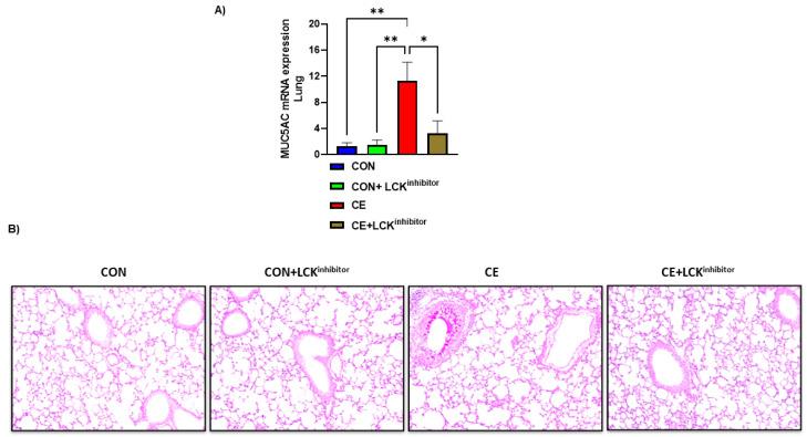 https://cdn.ncbi.nlm.nih.gov/pmc/blobs/99aa/9506330/cc8f2083e537/metabolites-12-00793-g003.jpg