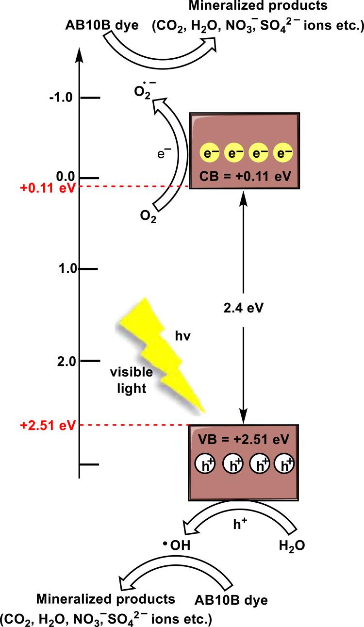 https://cdn.ncbi.nlm.nih.gov/pmc/blobs/99ab/11096669/4ea529ae4e56/IJN-19-4137-g0017.jpg