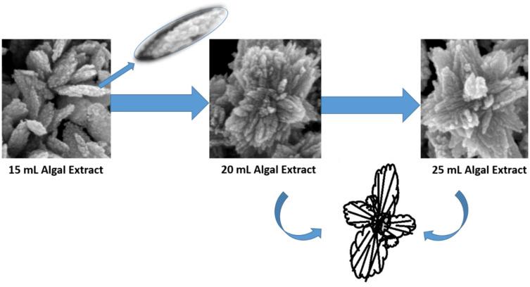 https://cdn.ncbi.nlm.nih.gov/pmc/blobs/99ab/11096669/f48a8feb3913/IJN-19-4137-g0010.jpg