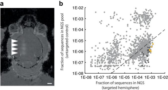 https://cdn.ncbi.nlm.nih.gov/pmc/blobs/99ae/11164914/28202441e365/41467_2024_48974_Fig2_HTML.jpg