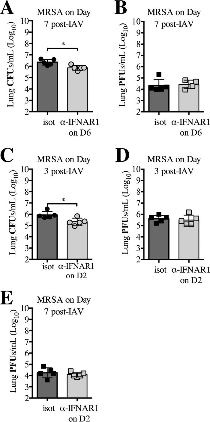 https://cdn.ncbi.nlm.nih.gov/pmc/blobs/99ae/4959663/322f43d3dda0/mbo0021627980003.jpg