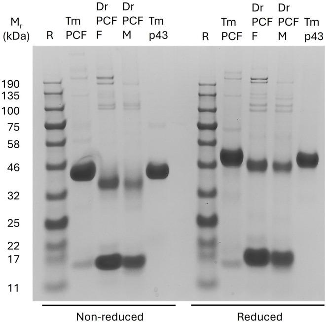 https://cdn.ncbi.nlm.nih.gov/pmc/blobs/99af/12238268/5cfae63e65ef/41598_2025_8124_Fig3_HTML.jpg