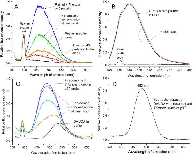 https://cdn.ncbi.nlm.nih.gov/pmc/blobs/99af/12238268/eb01ce6e02bb/41598_2025_8124_Fig2_HTML.jpg