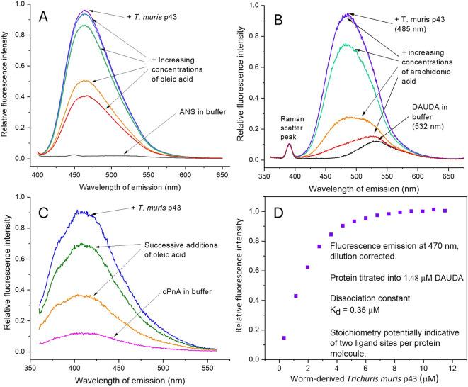 https://cdn.ncbi.nlm.nih.gov/pmc/blobs/99af/12238268/eb05a6398951/41598_2025_8124_Fig1_HTML.jpg