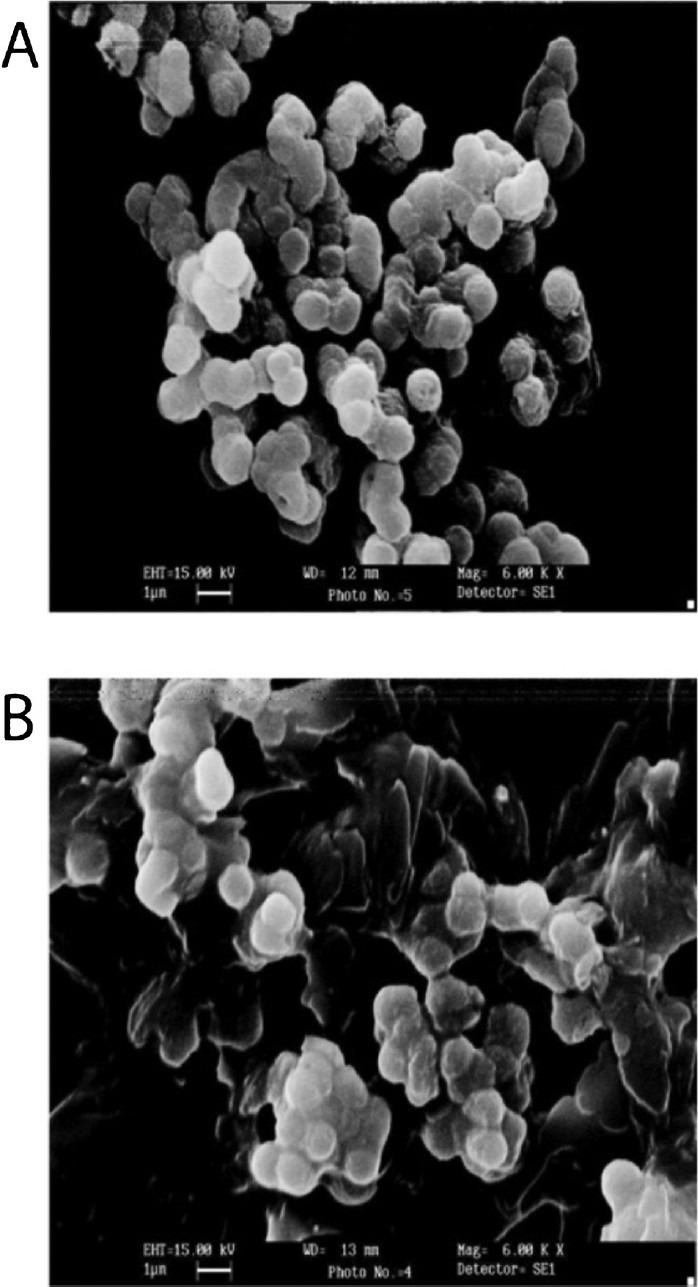 https://cdn.ncbi.nlm.nih.gov/pmc/blobs/99af/3724259/68d5188f33a3/IJMR-137-767-g003.jpg