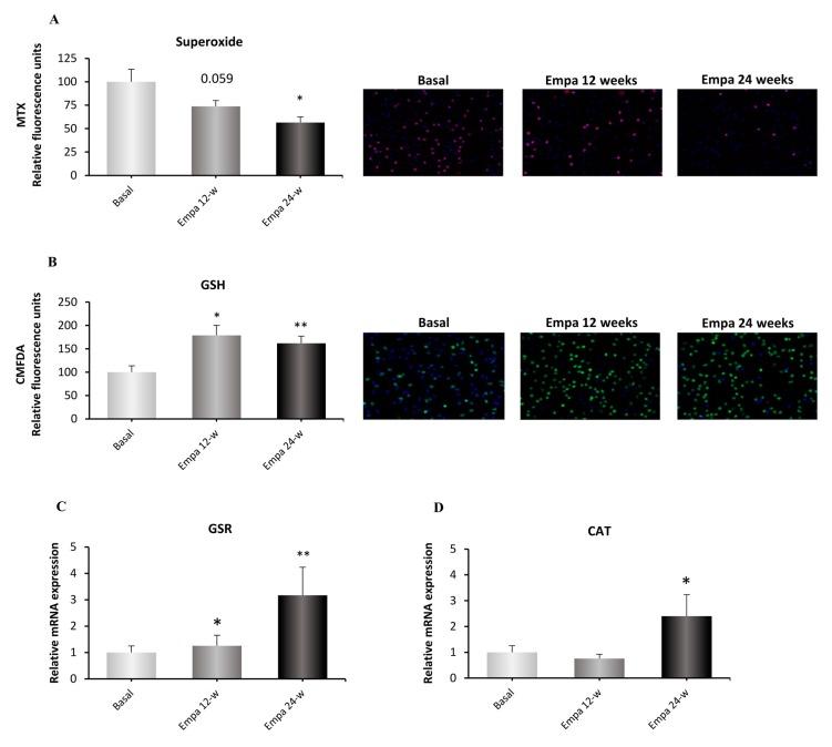 https://cdn.ncbi.nlm.nih.gov/pmc/blobs/99af/6912454/139329a65b57/jcm-08-01814-g002.jpg