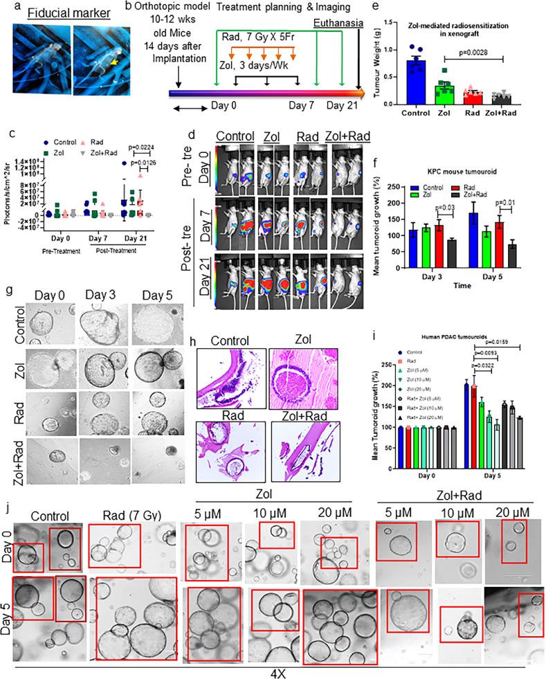 https://cdn.ncbi.nlm.nih.gov/pmc/blobs/99b0/8718746/51c9a2aea51c/gr3.jpg