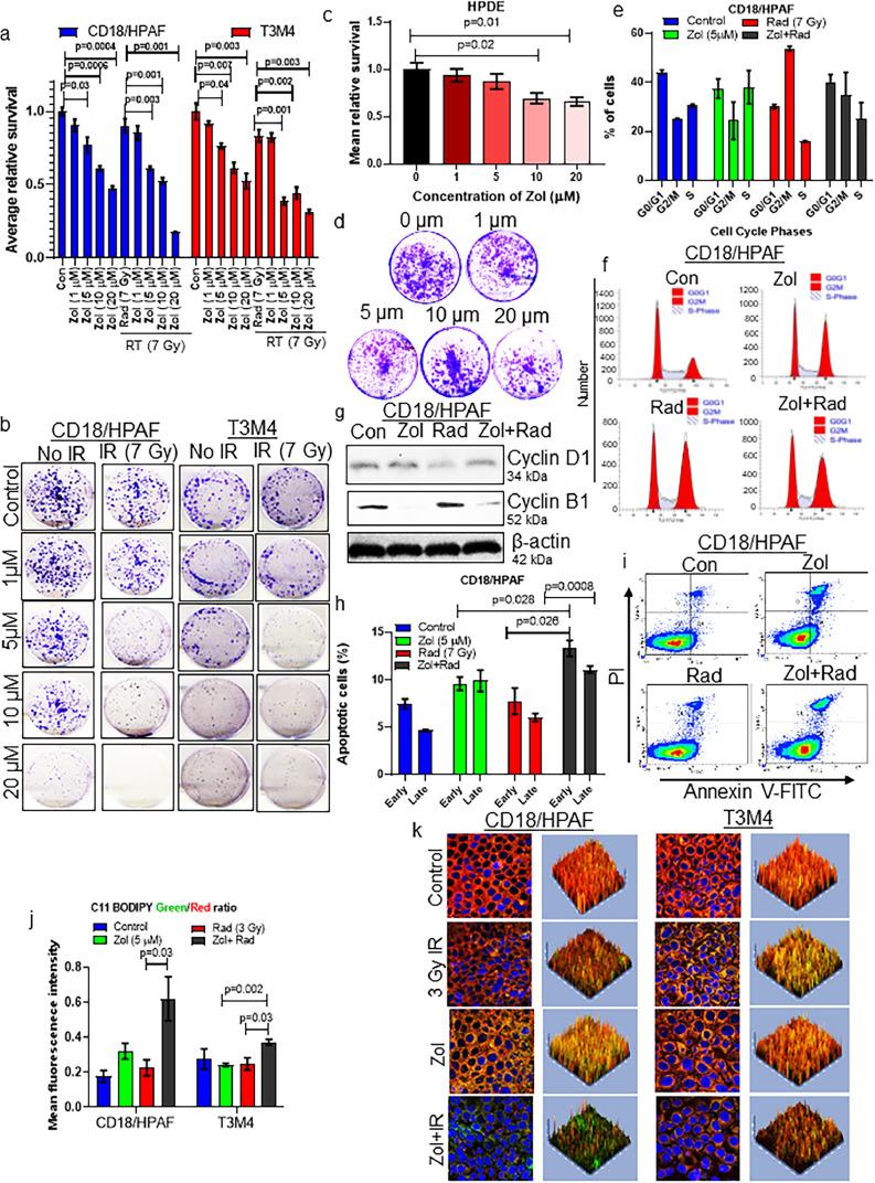 https://cdn.ncbi.nlm.nih.gov/pmc/blobs/99b0/8718746/ae846e796a76/gr2.jpg