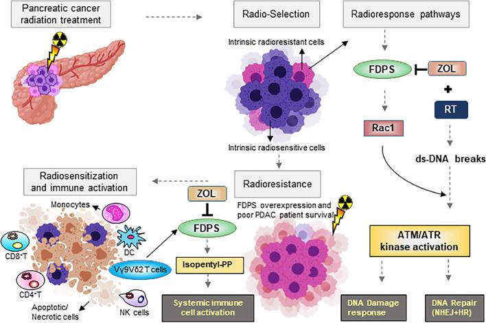 https://cdn.ncbi.nlm.nih.gov/pmc/blobs/99b0/8718746/b2ab8b8ab720/gr6.jpg