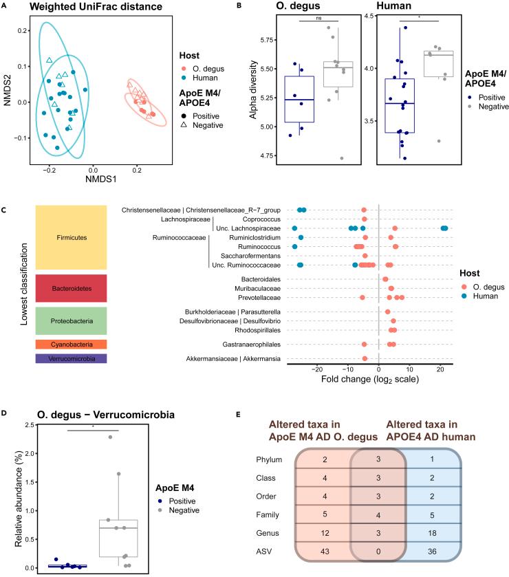 https://cdn.ncbi.nlm.nih.gov/pmc/blobs/99b2/11324989/937655e46550/gr3.jpg