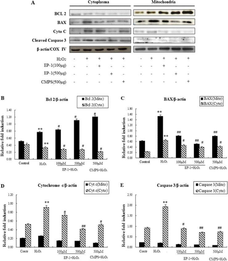 https://cdn.ncbi.nlm.nih.gov/pmc/blobs/99b3/5524341/1098e88378d1/pone.0181546.g005.jpg
