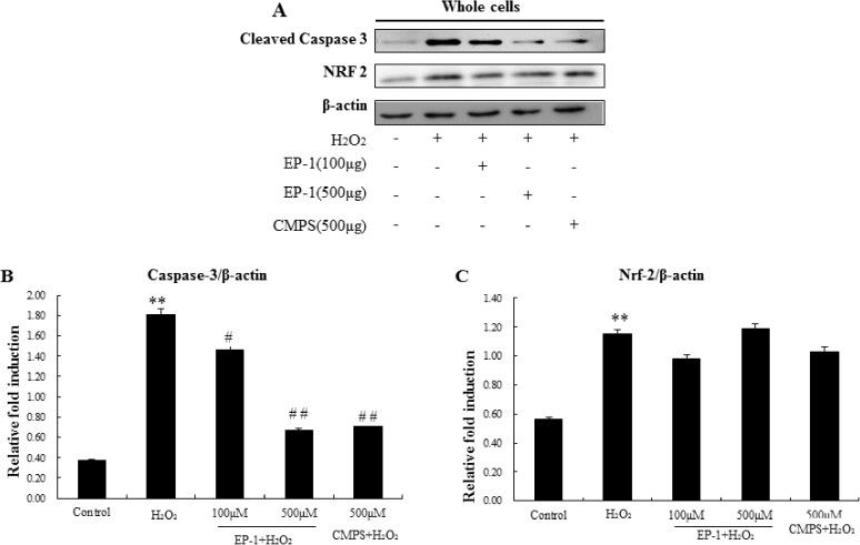 https://cdn.ncbi.nlm.nih.gov/pmc/blobs/99b3/5524341/e1e47d0d1fa8/pone.0181546.g004.jpg