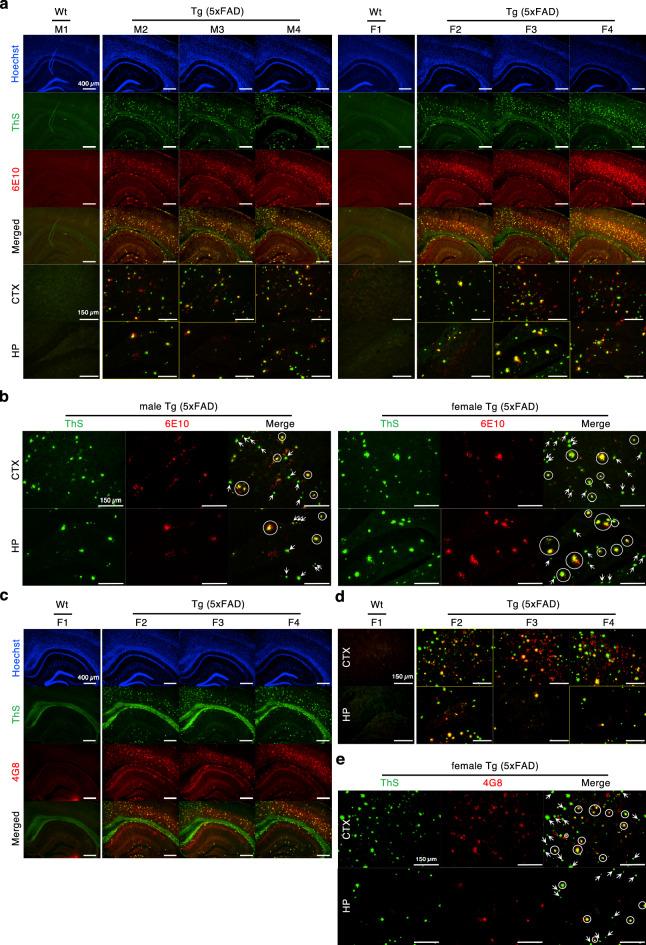 https://cdn.ncbi.nlm.nih.gov/pmc/blobs/99b3/7810901/a7af3de04901/41598_2021_81304_Fig1_HTML.jpg