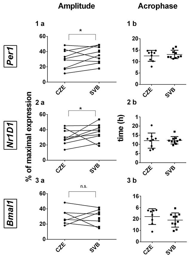 https://cdn.ncbi.nlm.nih.gov/pmc/blobs/99b4/6788356/2d10168dfe5b/jcr-17-186-g7.jpg