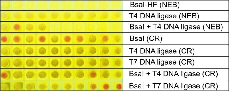 https://cdn.ncbi.nlm.nih.gov/pmc/blobs/99b5/8168896/56e4ca067c96/pone.0252507.g007.jpg