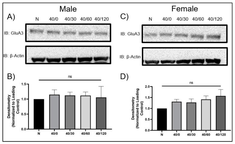 https://cdn.ncbi.nlm.nih.gov/pmc/blobs/99b6/10889403/21976c412e91/ijms-25-02231-g002.jpg