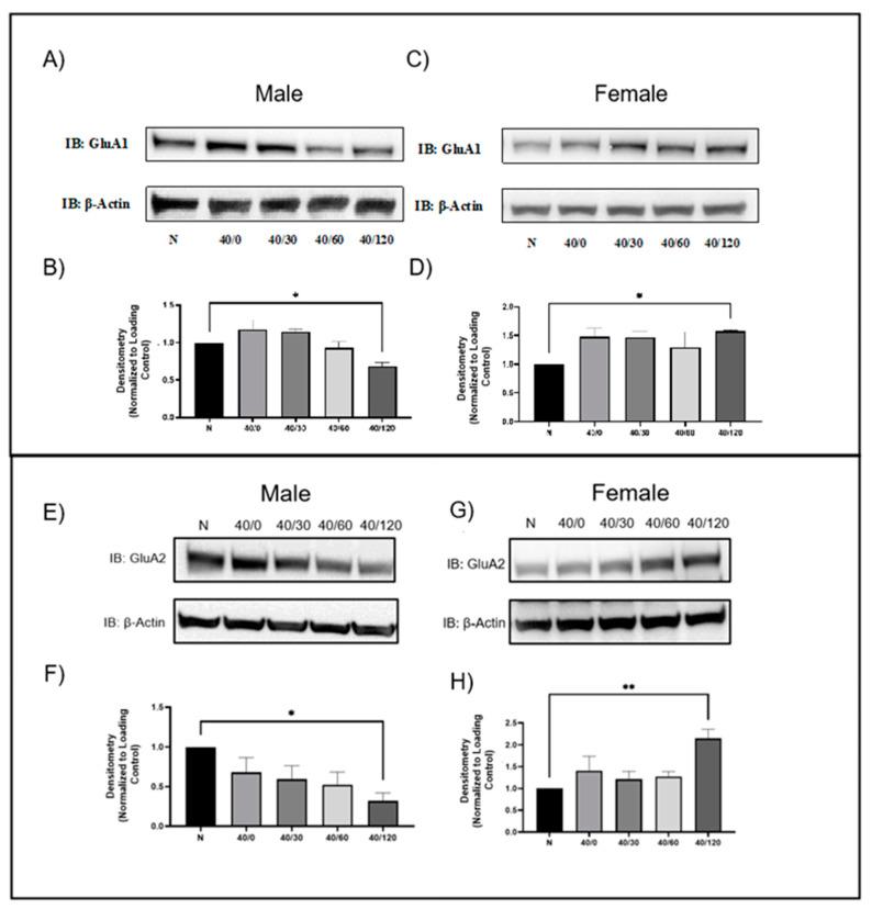 https://cdn.ncbi.nlm.nih.gov/pmc/blobs/99b6/10889403/35e94420418f/ijms-25-02231-g001.jpg