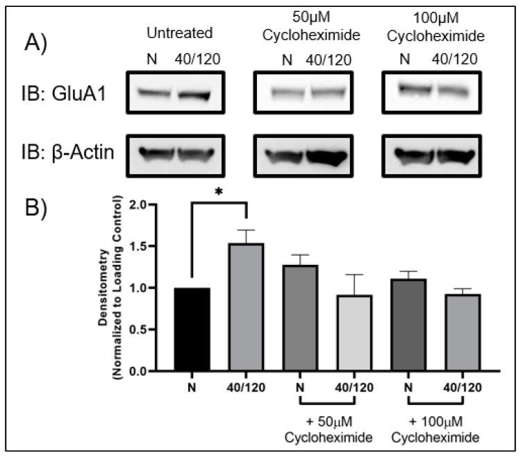 https://cdn.ncbi.nlm.nih.gov/pmc/blobs/99b6/10889403/8241b2e56b15/ijms-25-02231-g005.jpg