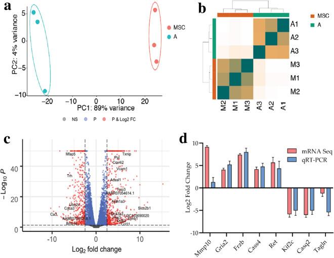 https://cdn.ncbi.nlm.nih.gov/pmc/blobs/99b7/7594431/13c1c85ba1b4/13578_2020_487_Fig3_HTML.jpg