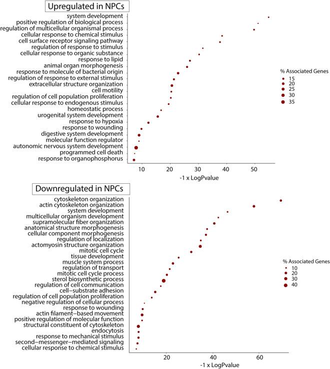 https://cdn.ncbi.nlm.nih.gov/pmc/blobs/99b7/7594431/6983896f9b4e/13578_2020_487_Fig4_HTML.jpg