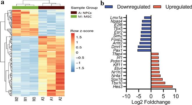 https://cdn.ncbi.nlm.nih.gov/pmc/blobs/99b7/7594431/9279712a701d/13578_2020_487_Fig6_HTML.jpg