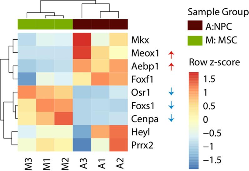 https://cdn.ncbi.nlm.nih.gov/pmc/blobs/99b7/7594431/c7163ea92f14/13578_2020_487_Fig7_HTML.jpg