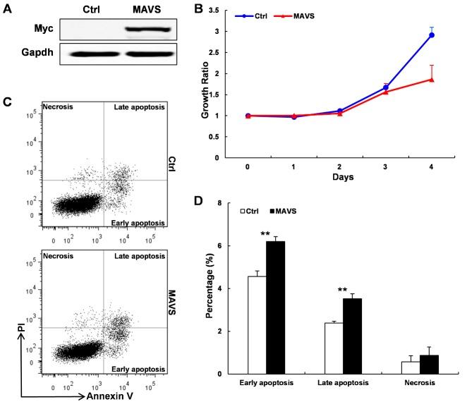 https://cdn.ncbi.nlm.nih.gov/pmc/blobs/99b8/5772857/c06a32961d42/ad-9-1-40-g2.jpg