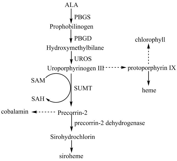 https://cdn.ncbi.nlm.nih.gov/pmc/blobs/99ba/4790935/d3c265587869/pone.0151149.g001.jpg
