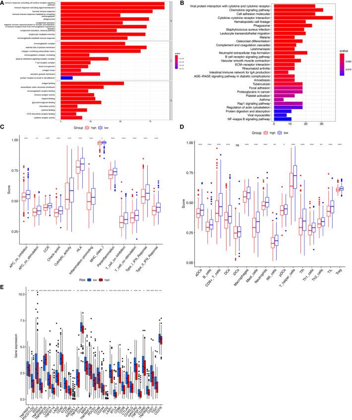 https://cdn.ncbi.nlm.nih.gov/pmc/blobs/99bb/9367690/d53b60684791/fonc-12-961213-g006.jpg