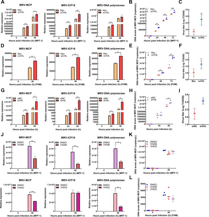 https://cdn.ncbi.nlm.nih.gov/pmc/blobs/99bf/11491782/54a678468900/zr-45-5-990-5.jpg