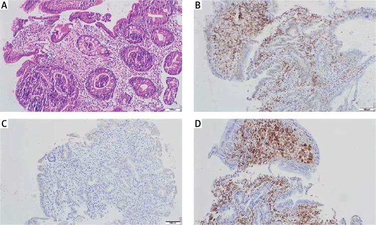 https://cdn.ncbi.nlm.nih.gov/pmc/blobs/99c2/7509908/025ae2b26661/PG-15-41688-g002.jpg
