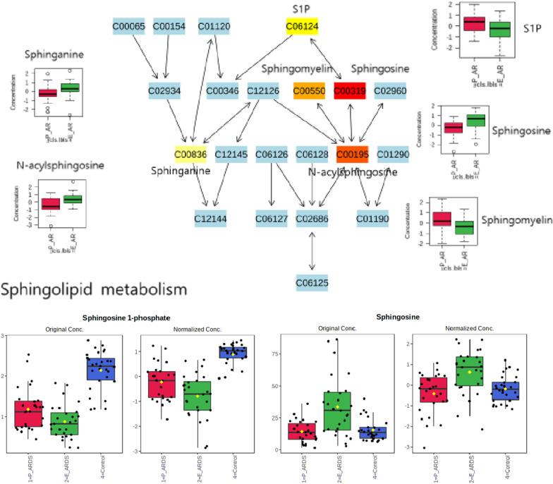 https://cdn.ncbi.nlm.nih.gov/pmc/blobs/99c3/10320874/e2a22e857e21/13054_2023_4552_Fig5_HTML.jpg