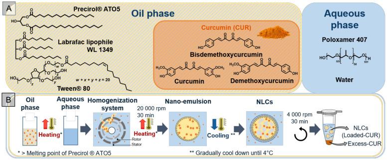 https://cdn.ncbi.nlm.nih.gov/pmc/blobs/99c4/9221280/0471e9816157/biomolecules-12-00780-g001.jpg