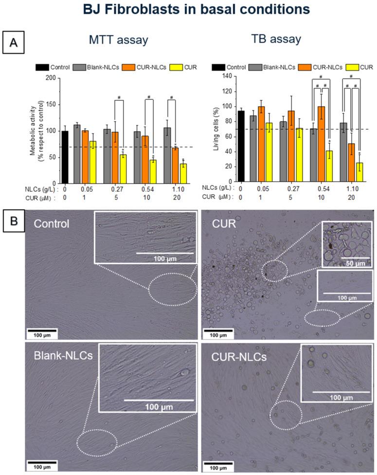 https://cdn.ncbi.nlm.nih.gov/pmc/blobs/99c4/9221280/05d16e5e8c06/biomolecules-12-00780-g007.jpg