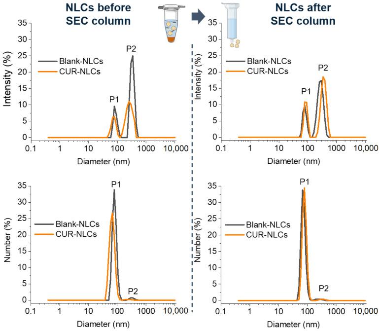 https://cdn.ncbi.nlm.nih.gov/pmc/blobs/99c4/9221280/30c87feb2f7c/biomolecules-12-00780-g003.jpg