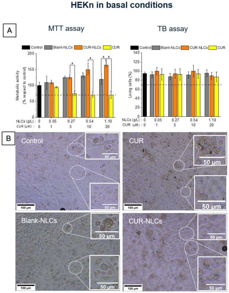 https://cdn.ncbi.nlm.nih.gov/pmc/blobs/99c4/9221280/3d344abfd763/biomolecules-12-00780-g008.jpg