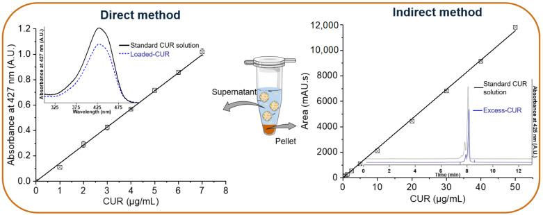 https://cdn.ncbi.nlm.nih.gov/pmc/blobs/99c4/9221280/ae216b83142c/biomolecules-12-00780-g002.jpg