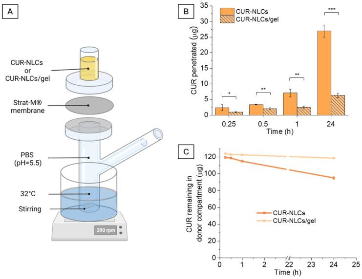 https://cdn.ncbi.nlm.nih.gov/pmc/blobs/99c4/9221280/c13705b23b21/biomolecules-12-00780-g014.jpg