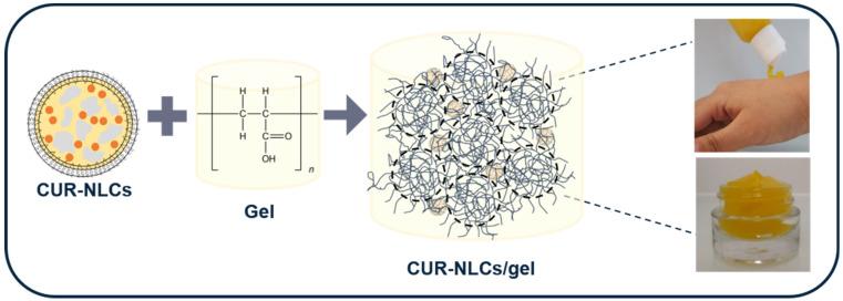 https://cdn.ncbi.nlm.nih.gov/pmc/blobs/99c4/9221280/ca07e329d40b/biomolecules-12-00780-g012.jpg