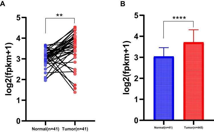 https://cdn.ncbi.nlm.nih.gov/pmc/blobs/99c6/8630367/69443219f4a1/IJGM-14-8811-g0001.jpg