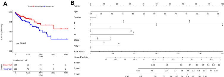 https://cdn.ncbi.nlm.nih.gov/pmc/blobs/99c6/8630367/fbdf8a505ace/IJGM-14-8811-g0003.jpg
