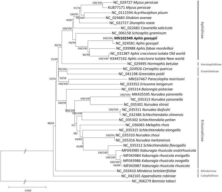 https://cdn.ncbi.nlm.nih.gov/pmc/blobs/99c7/7706777/0e7fe5ae383b/TMDN_A_1666051_F0001_B.jpg