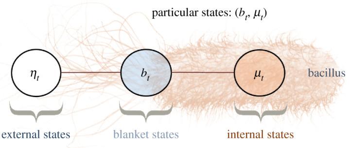 https://cdn.ncbi.nlm.nih.gov/pmc/blobs/99cb/8652275/033500476e25/rspa20210518f03.jpg