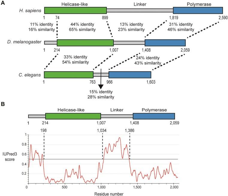 https://cdn.ncbi.nlm.nih.gov/pmc/blobs/99ce/12021795/8169b44b35be/gkaf304fig1.jpg