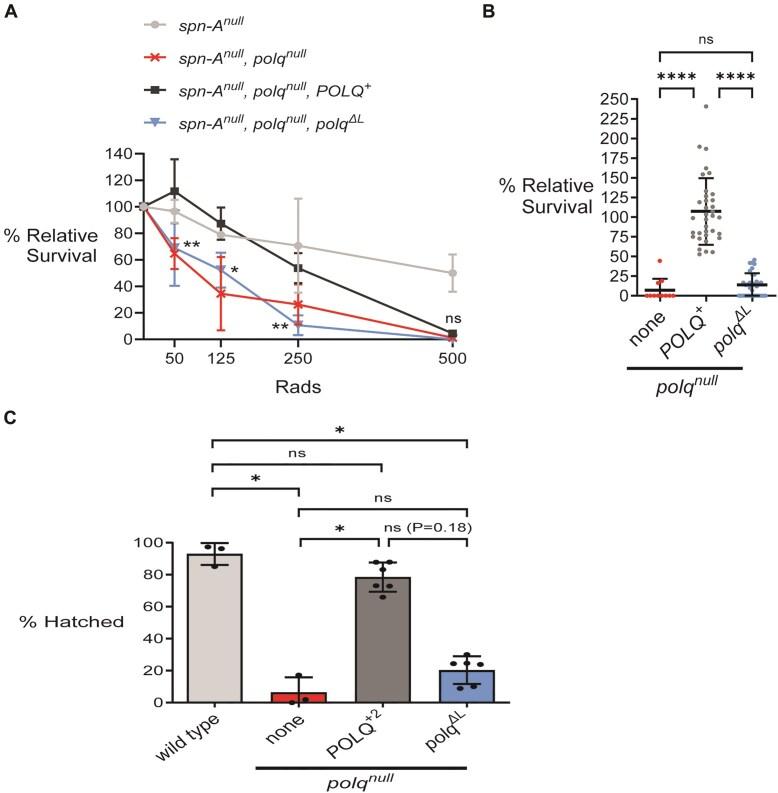 https://cdn.ncbi.nlm.nih.gov/pmc/blobs/99ce/12021795/c291a29e5d1c/gkaf304fig3.jpg