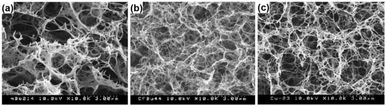 https://cdn.ncbi.nlm.nih.gov/pmc/blobs/99ce/5455374/19f9fc28cb53/materials-08-05343-g003.jpg