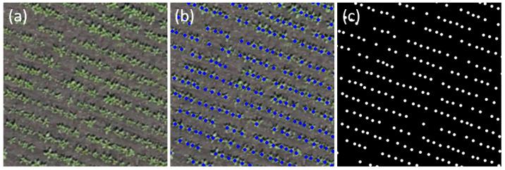 https://cdn.ncbi.nlm.nih.gov/pmc/blobs/99d0/11766541/42a44c3060e4/jimaging-11-00028-g002.jpg